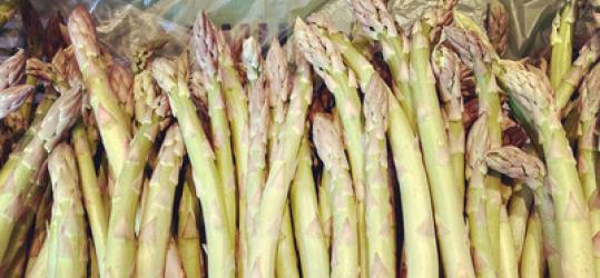 Asperges Werro